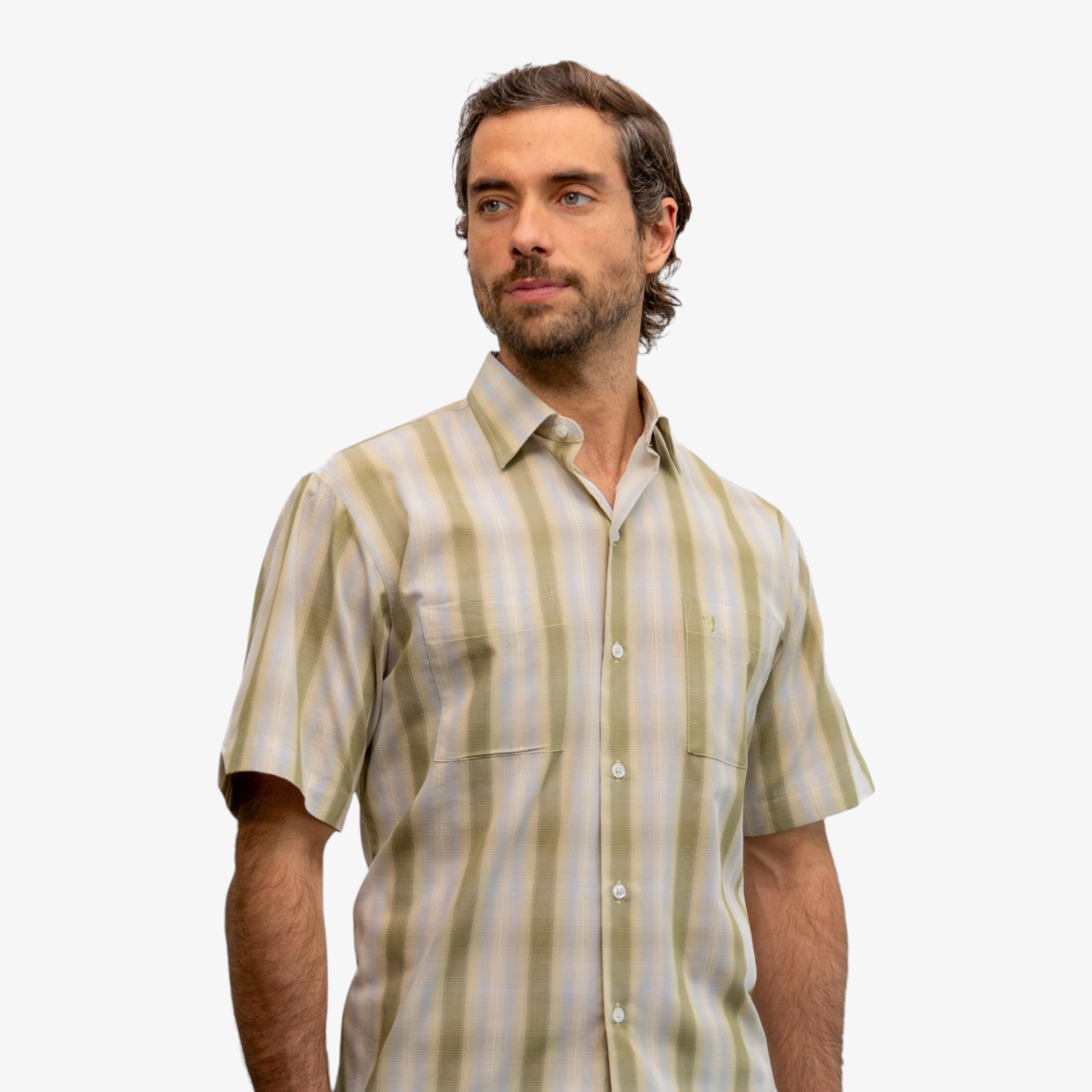 OLIVO