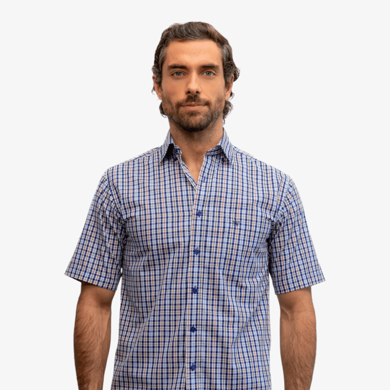 Manchester Camisa Casual Button Down Manga Corta Cuadrícula - Manchester