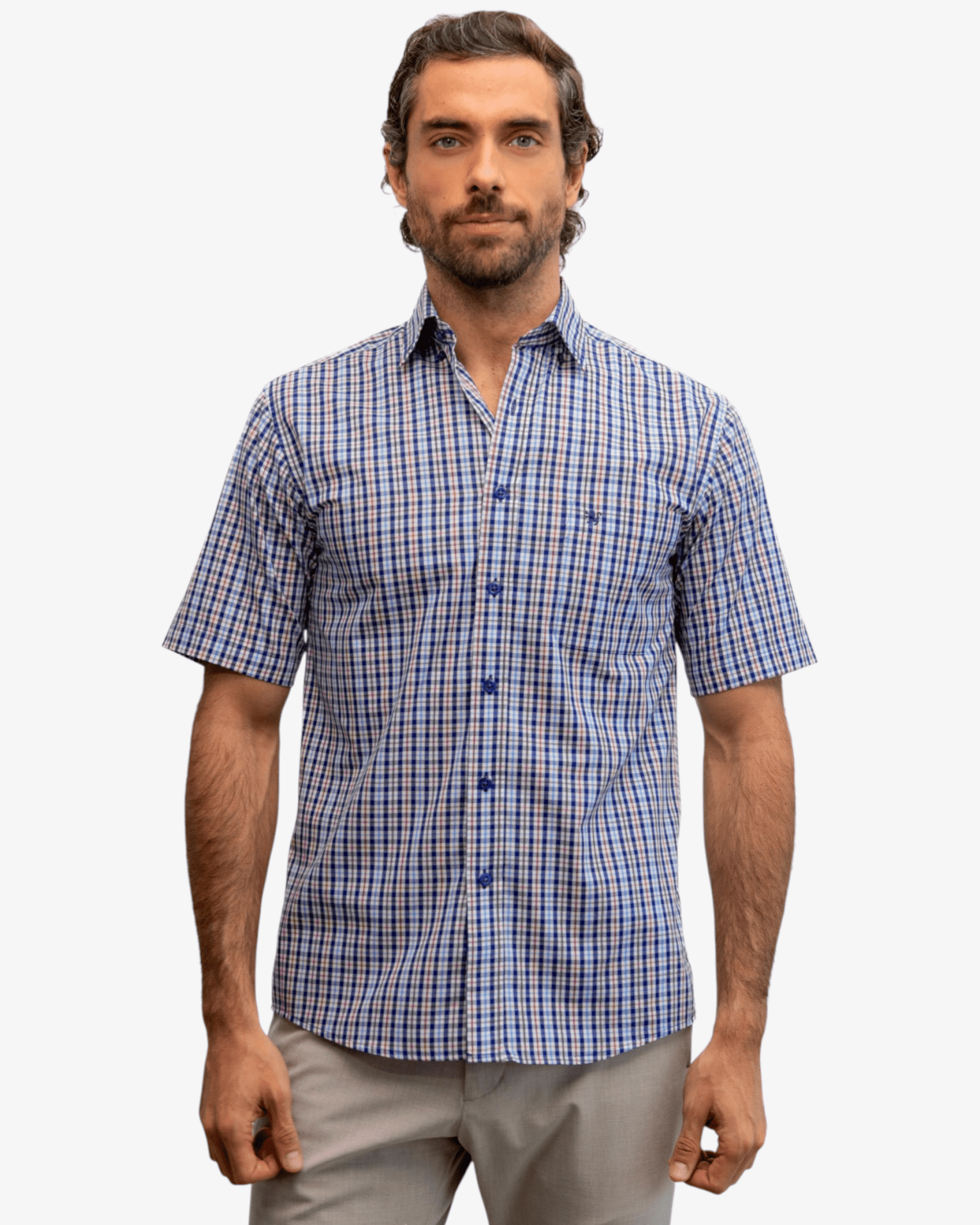 Manchester Camisa Casual Button Down Manga Corta Cuadrícula - Manchester