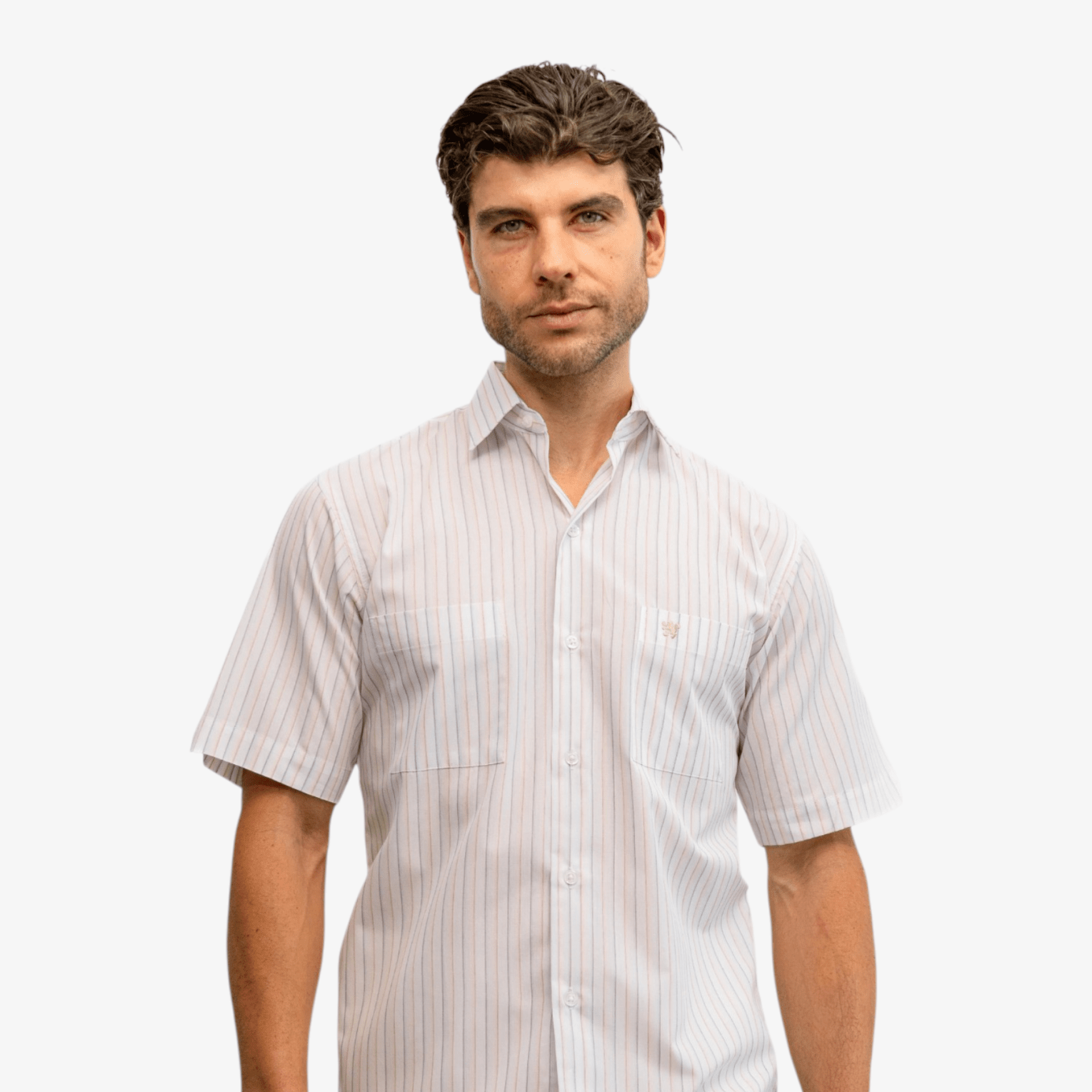 Manchester Camisa Casual Manga Corta con Rayas Minimalistas - Manchester