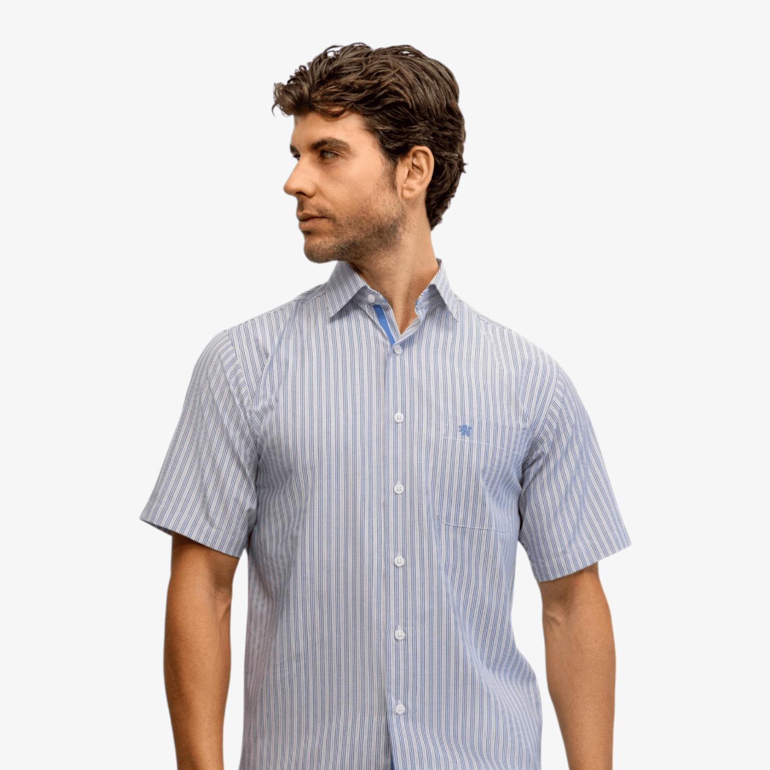 Manchester Camisa Casual Rayas - Manga Corta - Manchester