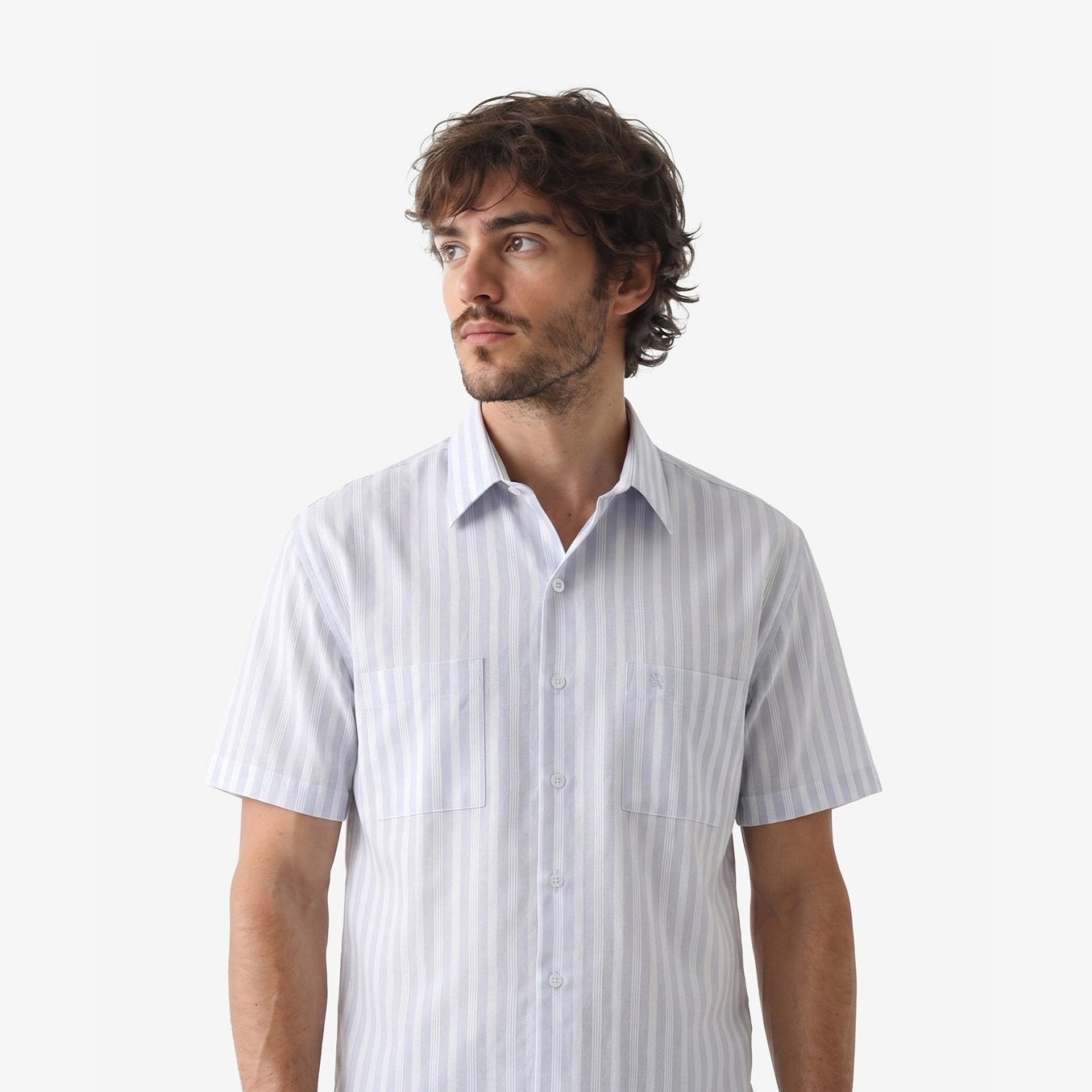 Manchester Camisa Casual Regular Fit Estilo Chazarilla – Rayas Verticales - Manchester