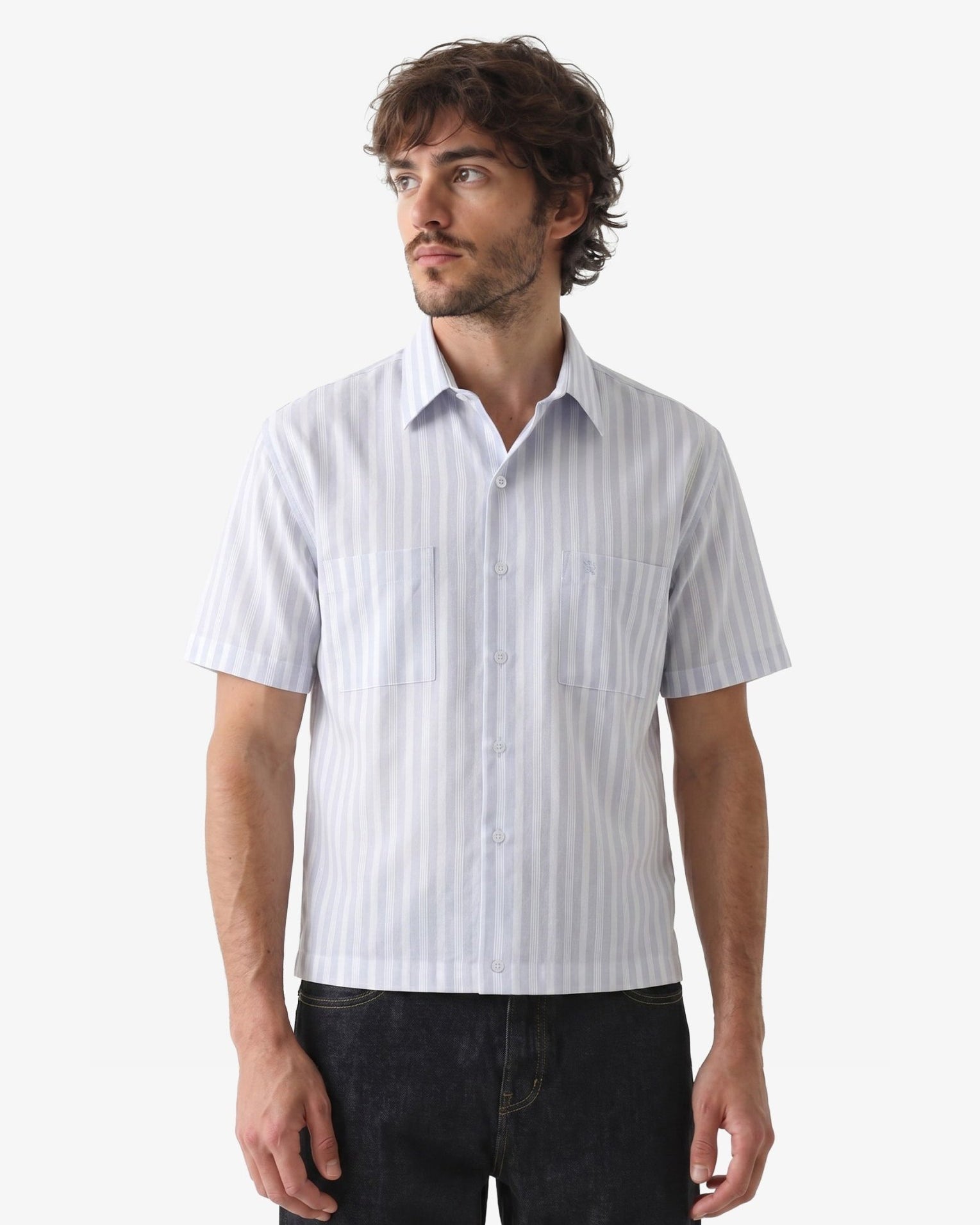Manchester Camisa Casual Regular Fit Estilo Chazarilla – Rayas Verticales - Manchester