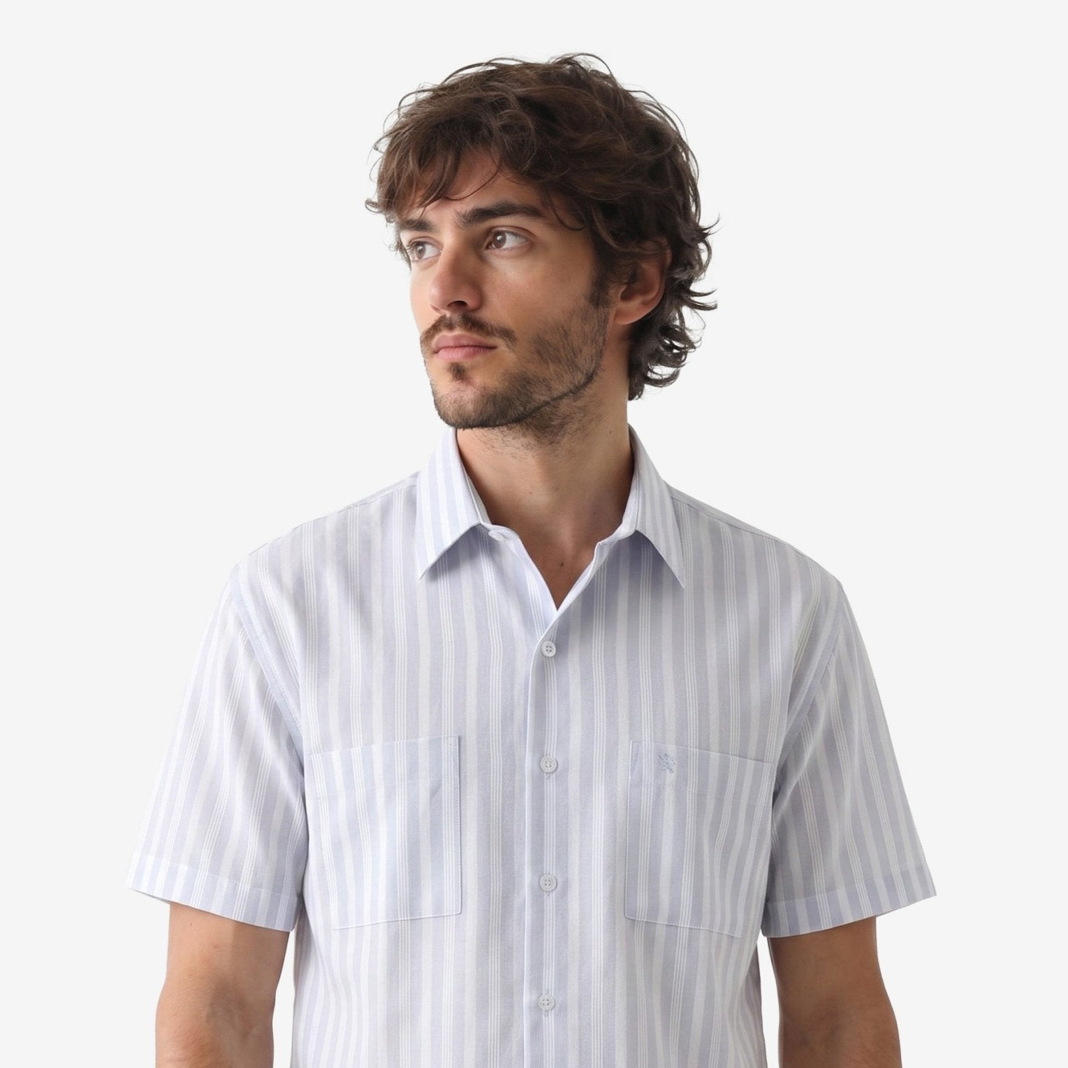 Manchester Camisa Casual Regular Fit Estilo Chazarilla – Rayas Verticales - Manchester