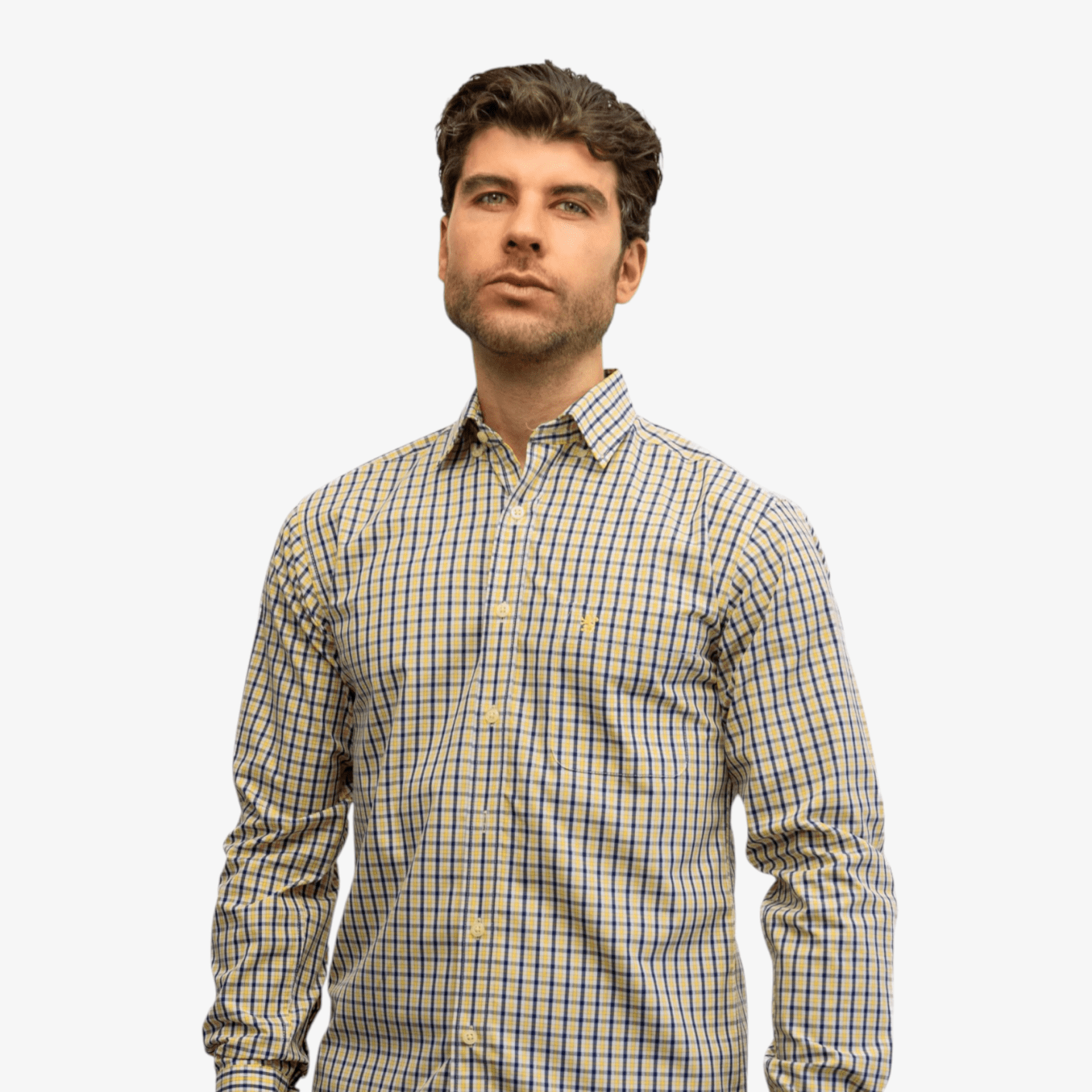 Manchester Camisa de Casual Microcuadro Button Down - Manchester