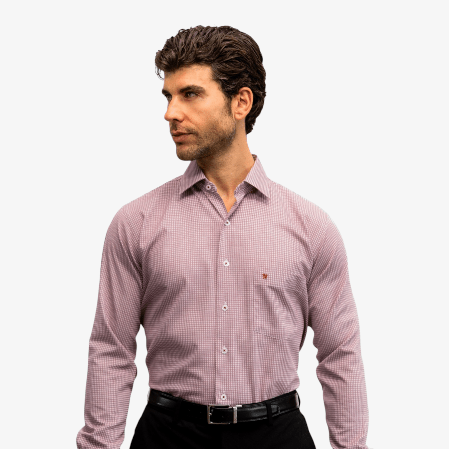 Manchester Elite Camisa de Vestir Algodón Wrinkle Free - Manchester