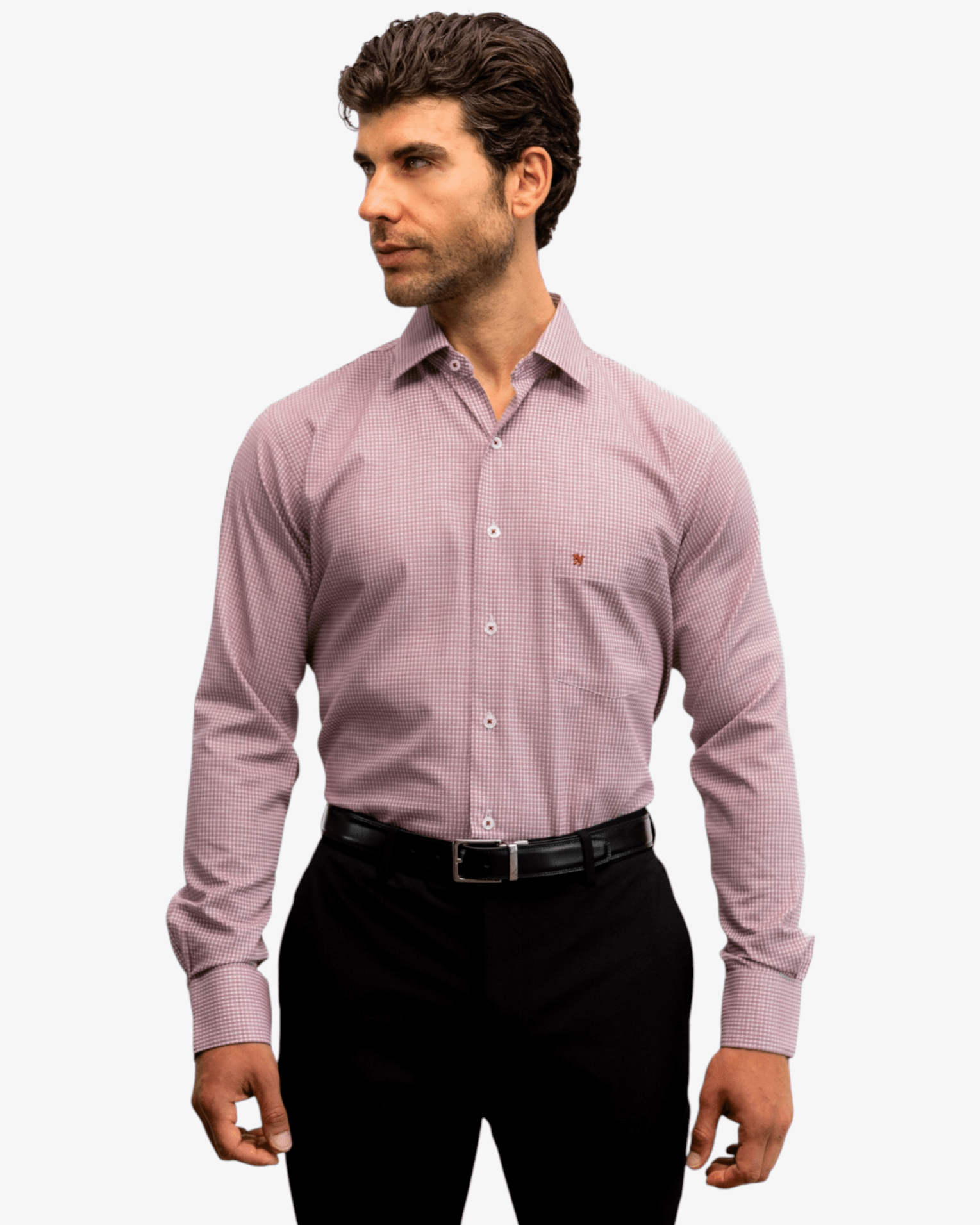 Manchester Elite Camisa de Vestir Algodón Wrinkle Free - Manchester