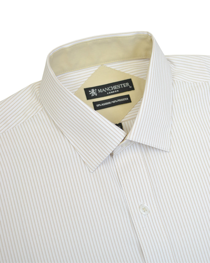 {"altText": "Manchester Camisa de Vestir Regular Fit a Rayas Pu\u00f1o Convertible Vista Cuello", "color": "BEIGE", "url": "https://cdn.shopify.com/s/files/1/0762/6925/7013/files/5604-F_Beige_3.jpg?v=1706544880"}