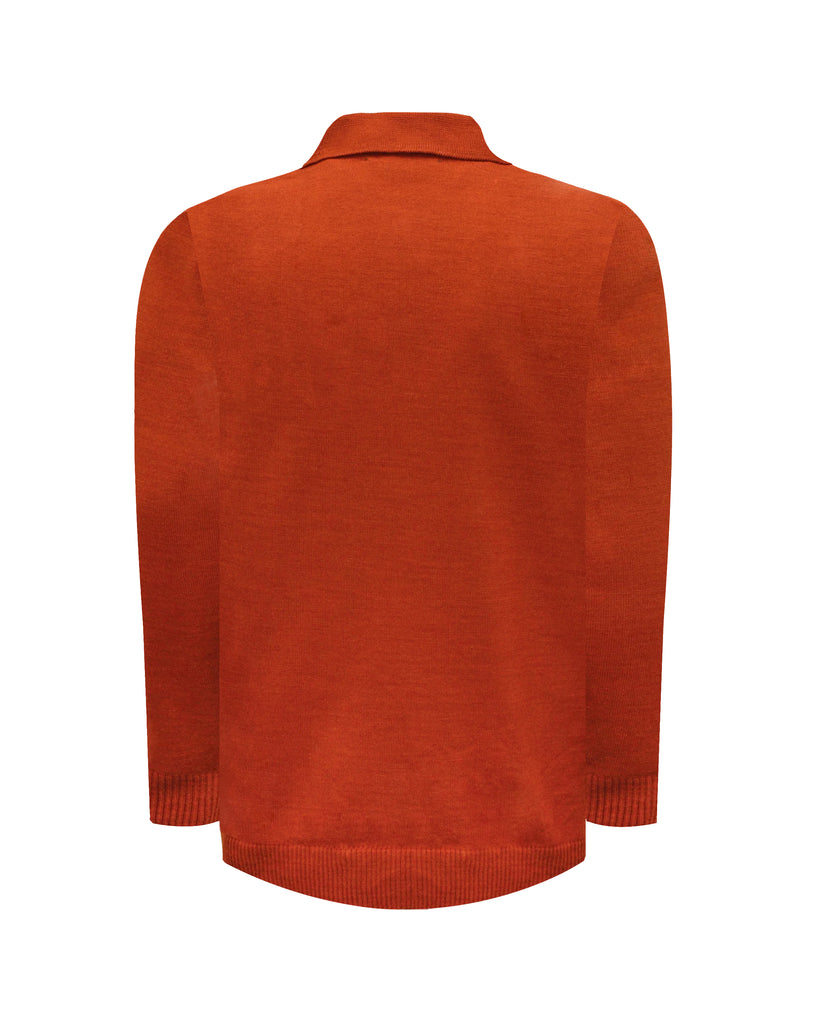 Manchester Sueter Shedron Cuello con Botones Slim Fit Vista de Espalda