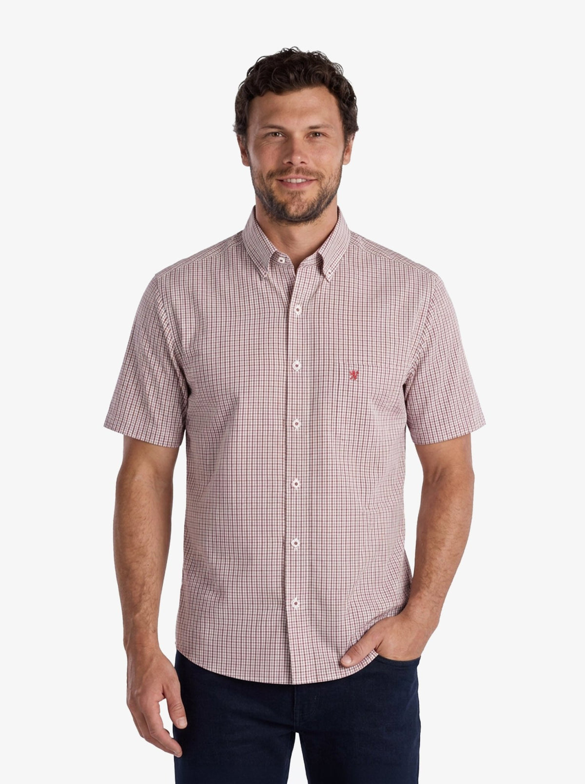 Manchester Camisa Button Down Cuadros - Manga Corta - Manchester