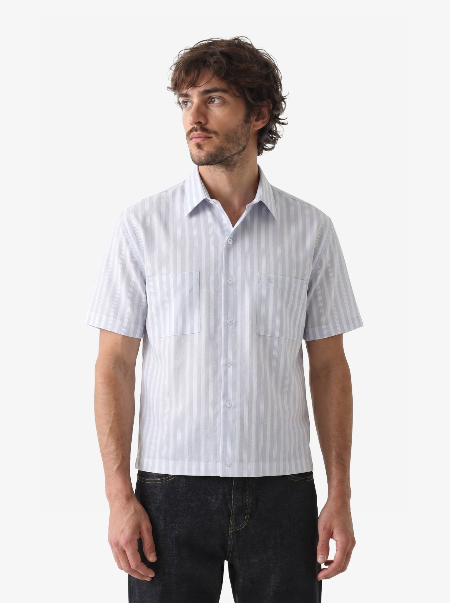 Manchester Camisa Casual Regular Fit Estilo Chazarilla – Rayas Verticales - Manchester
