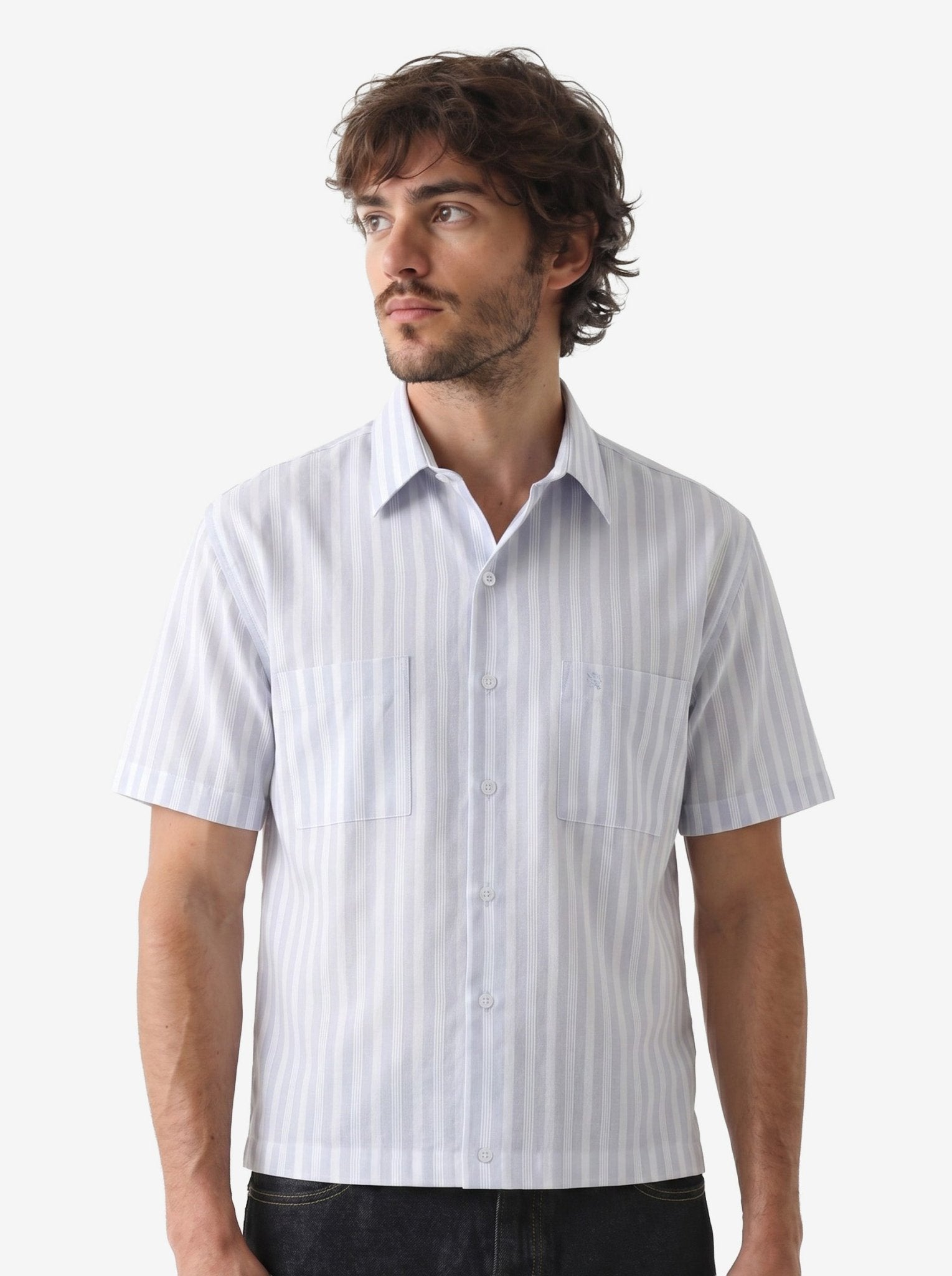 Manchester Camisa Casual Regular Fit Estilo Chazarilla – Rayas Verticales - Manchester
