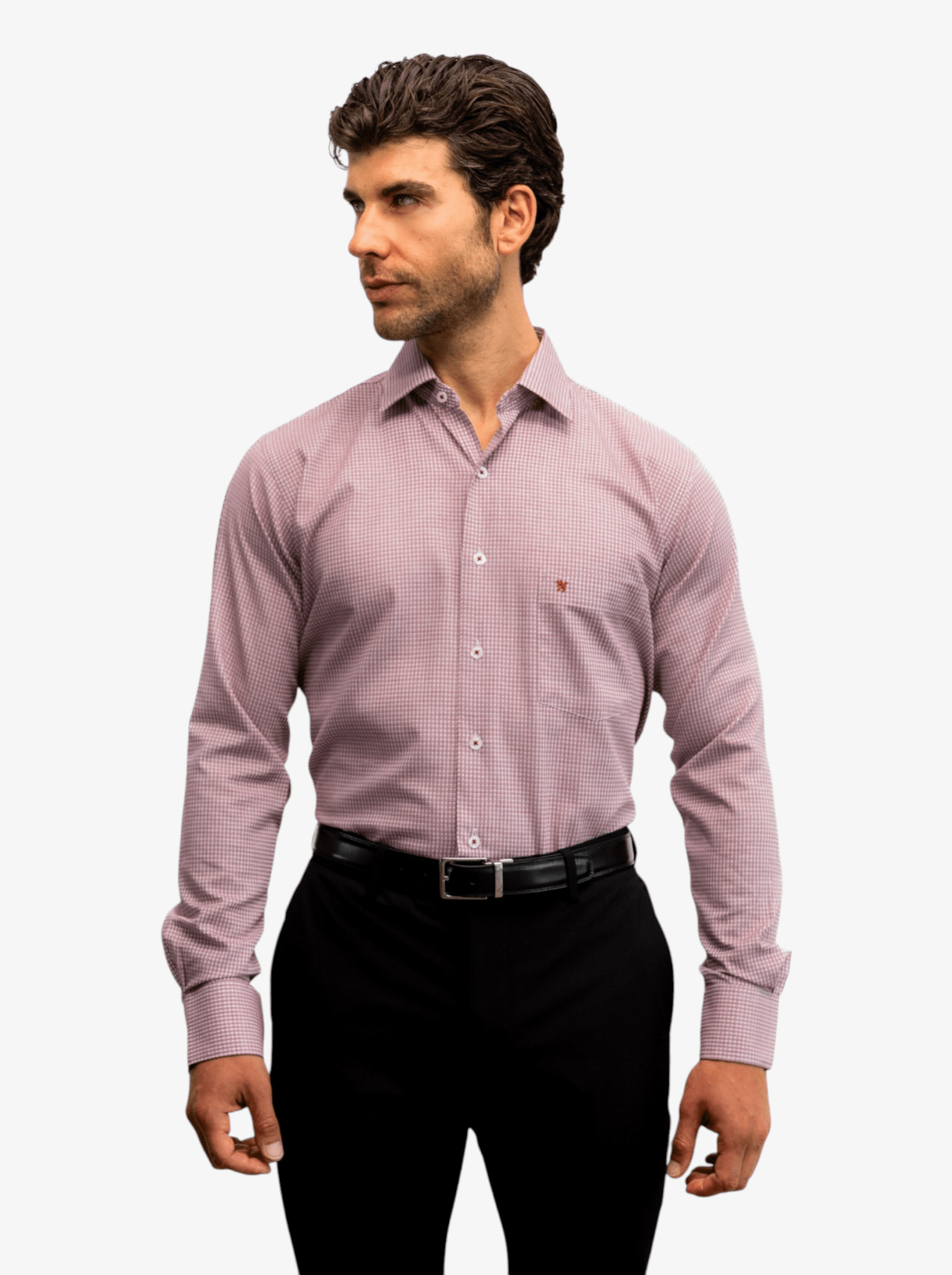 Manchester Elite Camisa de Vestir Algodón Wrinkle Free - Manchester