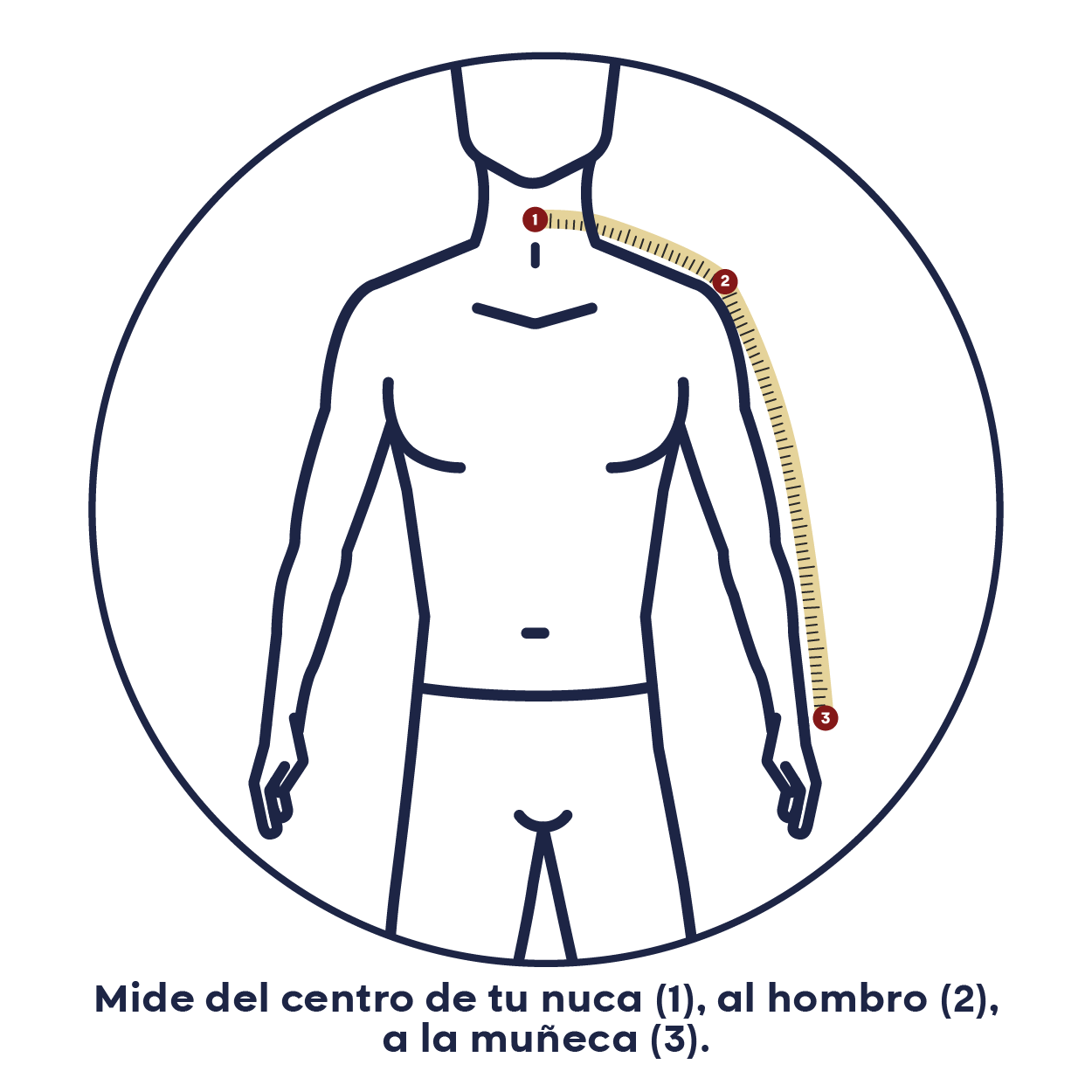 Cómo medir la manga: del centro de la nuca al hombro a la muñeca