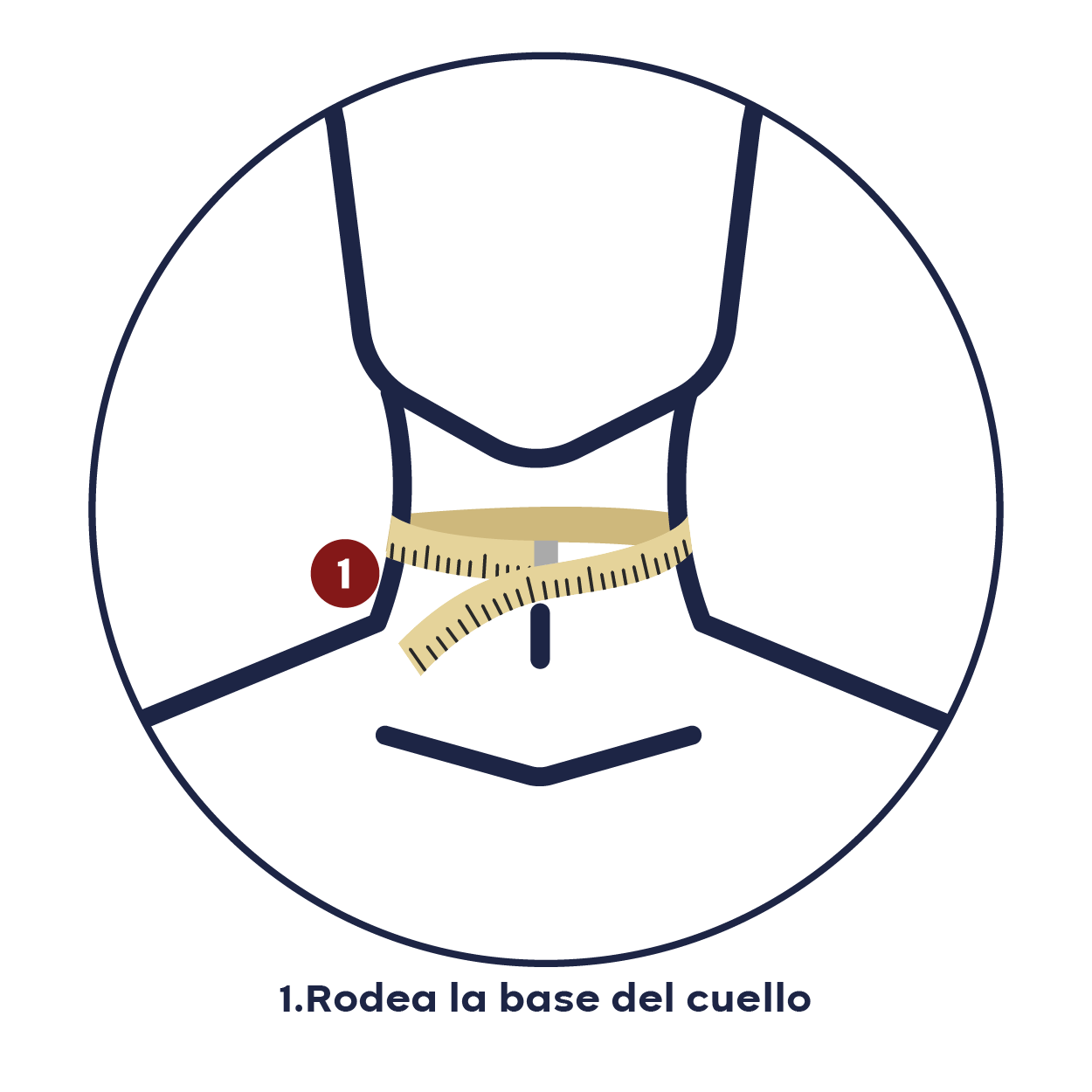 Cómo medir el cuello: rodea la base del cuello