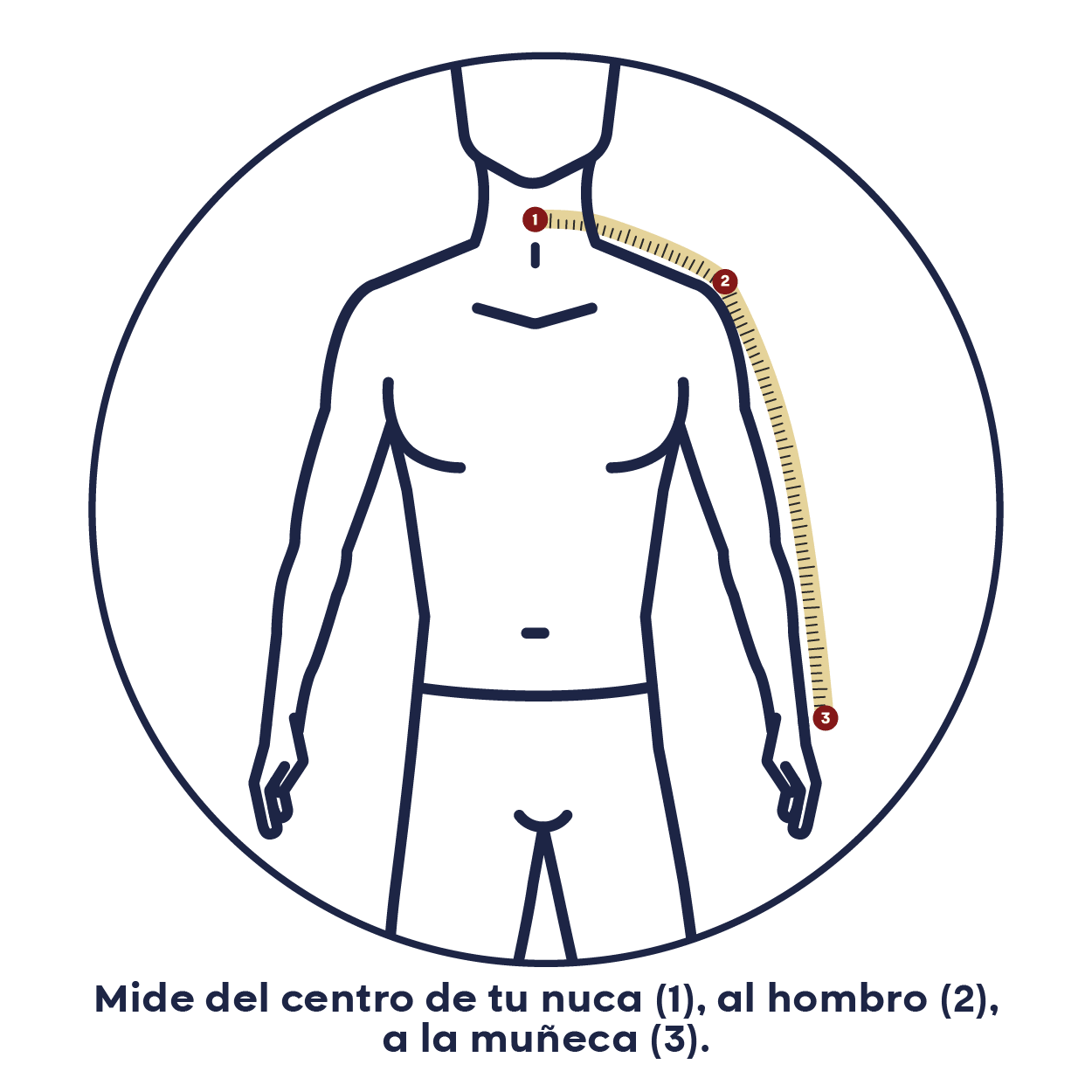 Cómo medir la manga: del centro de la nuca al hombro a la muñeca