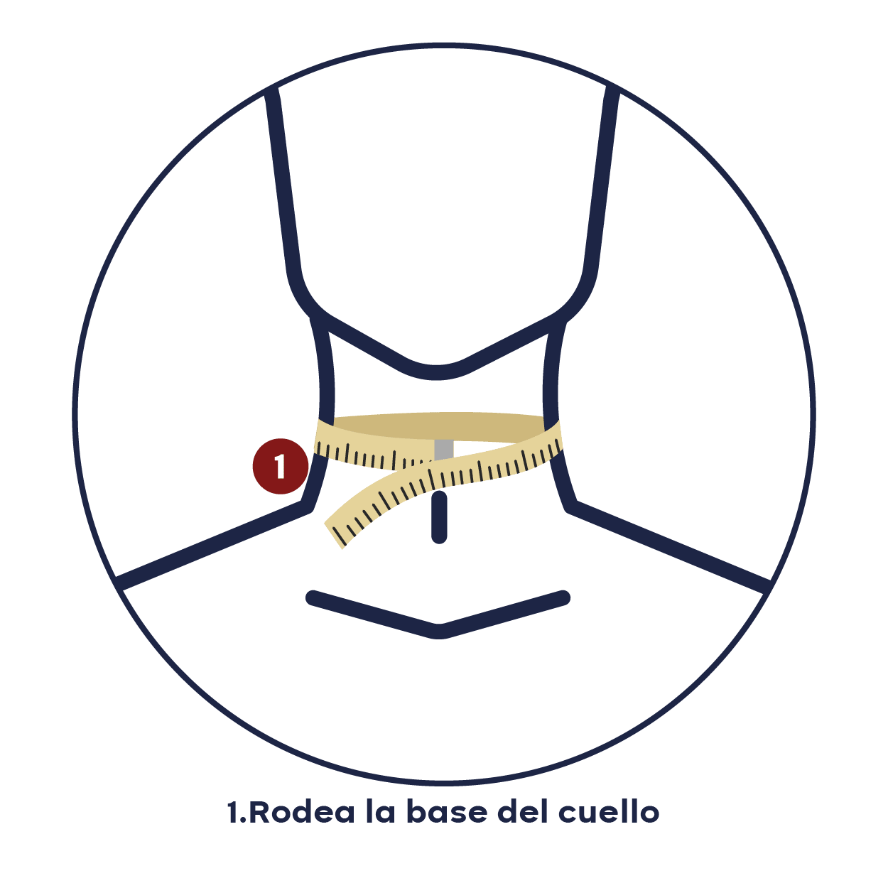 Cómo medir el cuello: rodea la base del cuello